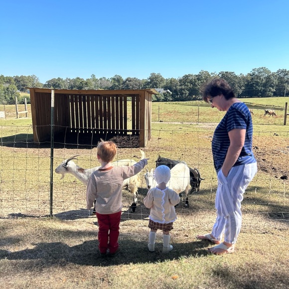 Meet your Posher, Jess - Picture 4 of 6